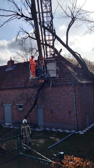 Meld hier niet-dringende stormschade