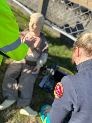 Dringende geneeskundige hulpverlening